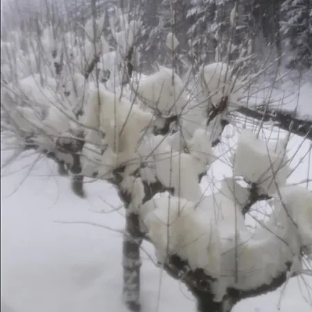 Somport Bienvenidos A Family 아파트 칸프랑크